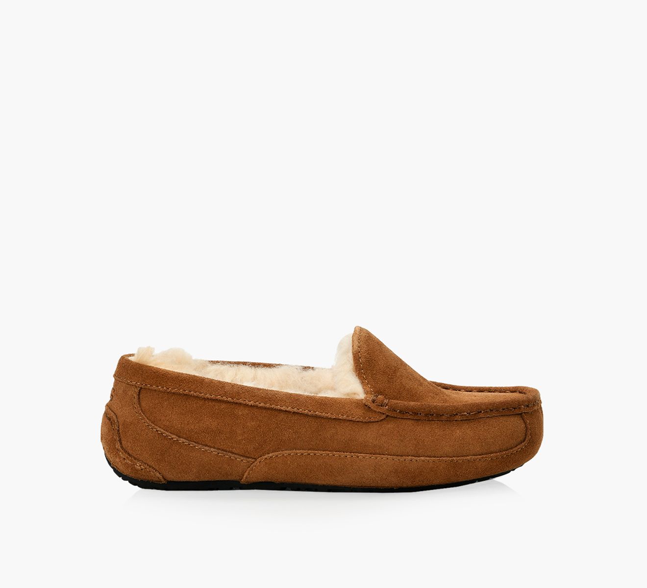 UGG ASCOT Browns Shoes