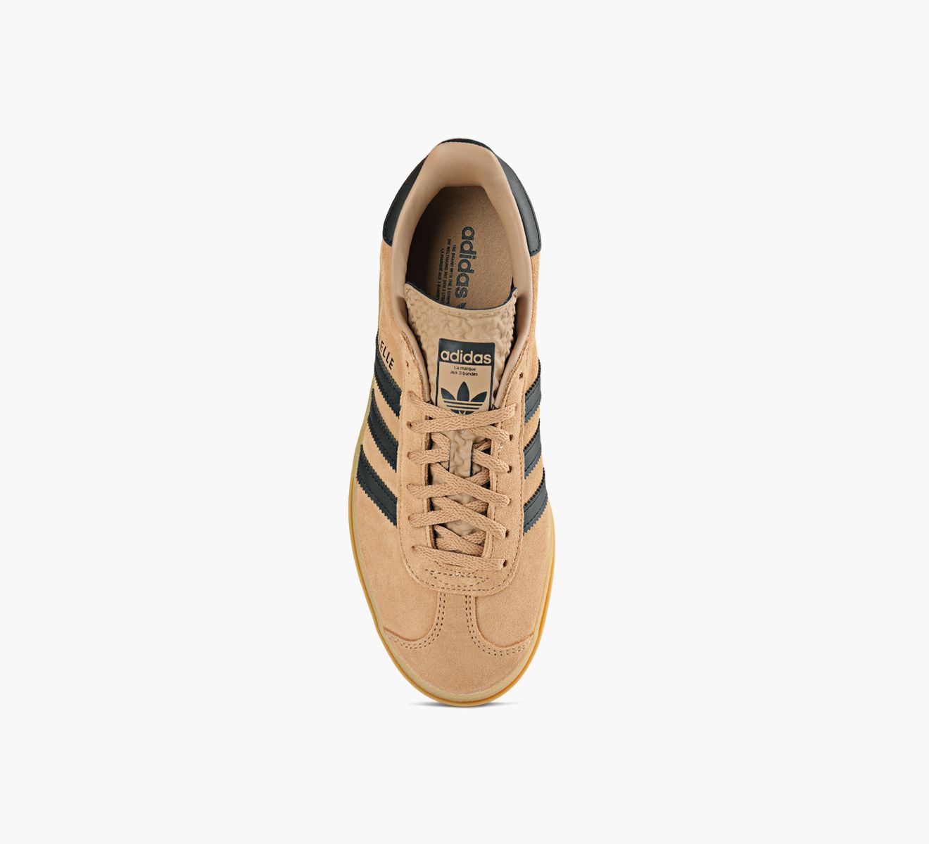 GAZELLE BOLD