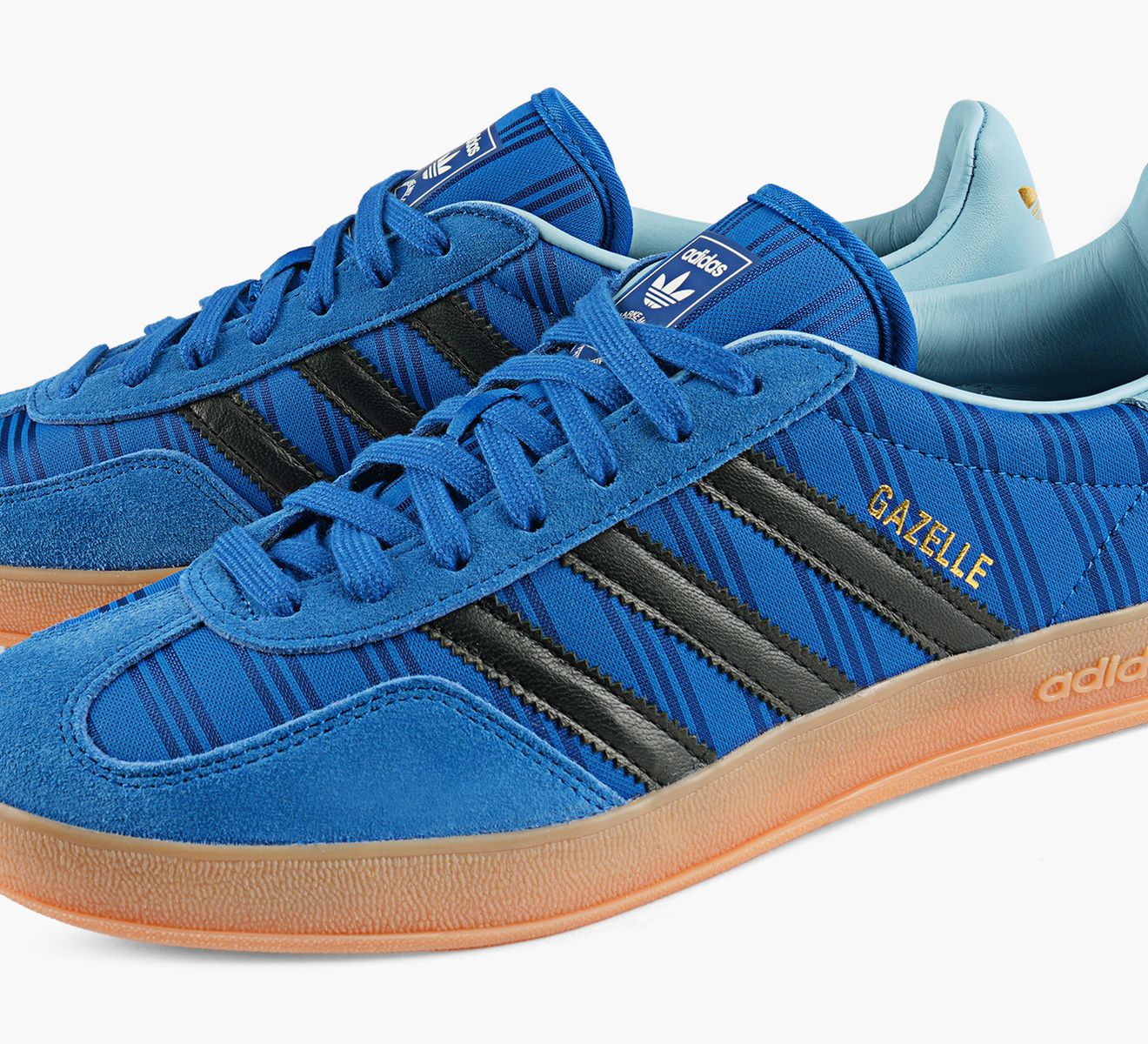 ARGENTINA GAZELLE INDOOR