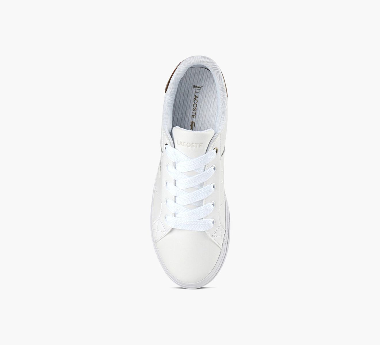 ZIANE PLATFORM