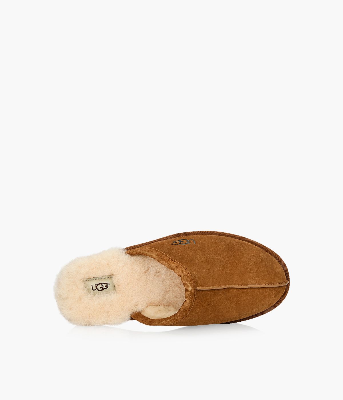 UGG SCUFF Browns Shoes