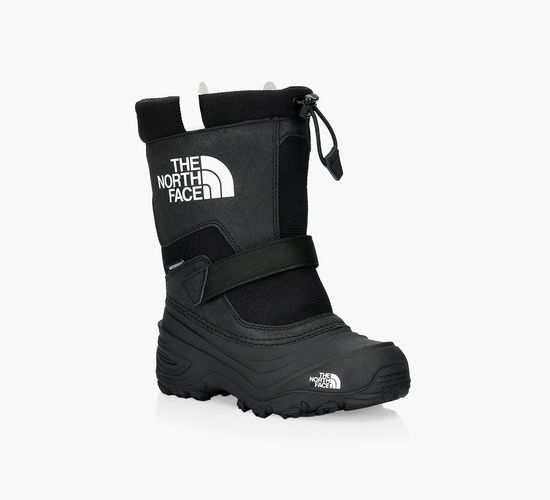 THE NORTH FACE for Boys Browns Shoes