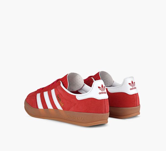 GAZELLE INDOOR