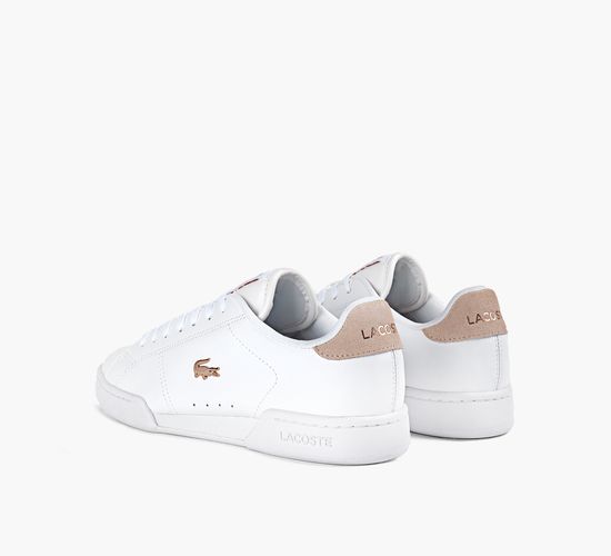 CARNABY CUP BLUSH PACK