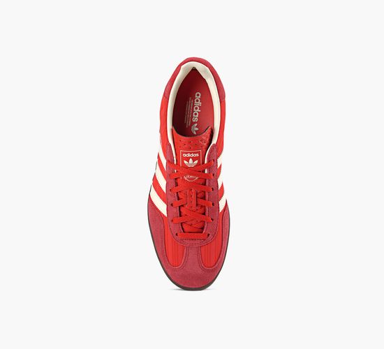 GAZELLE INDOOR