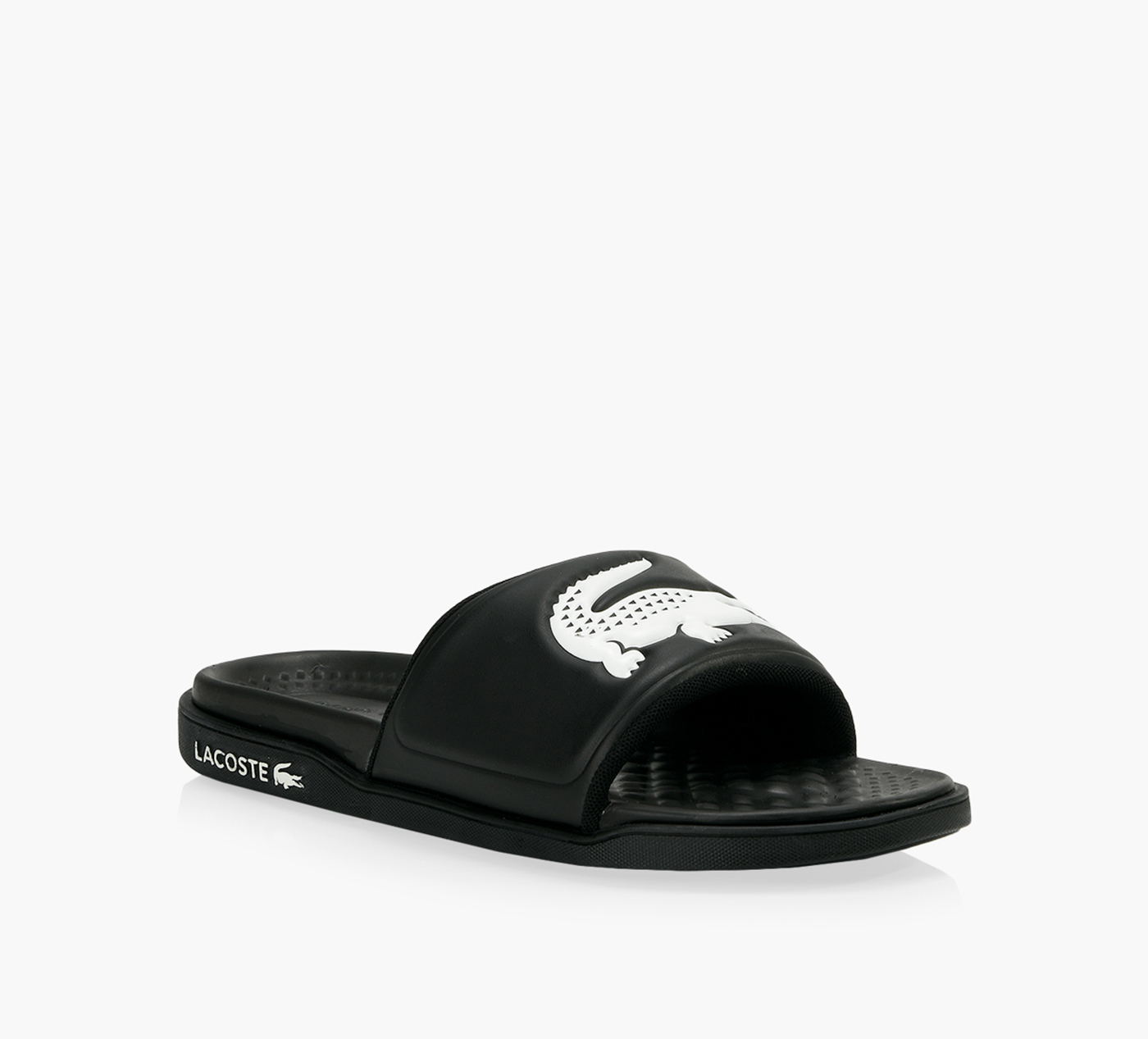 CROCO DUALISTE 2.0 SLIDES