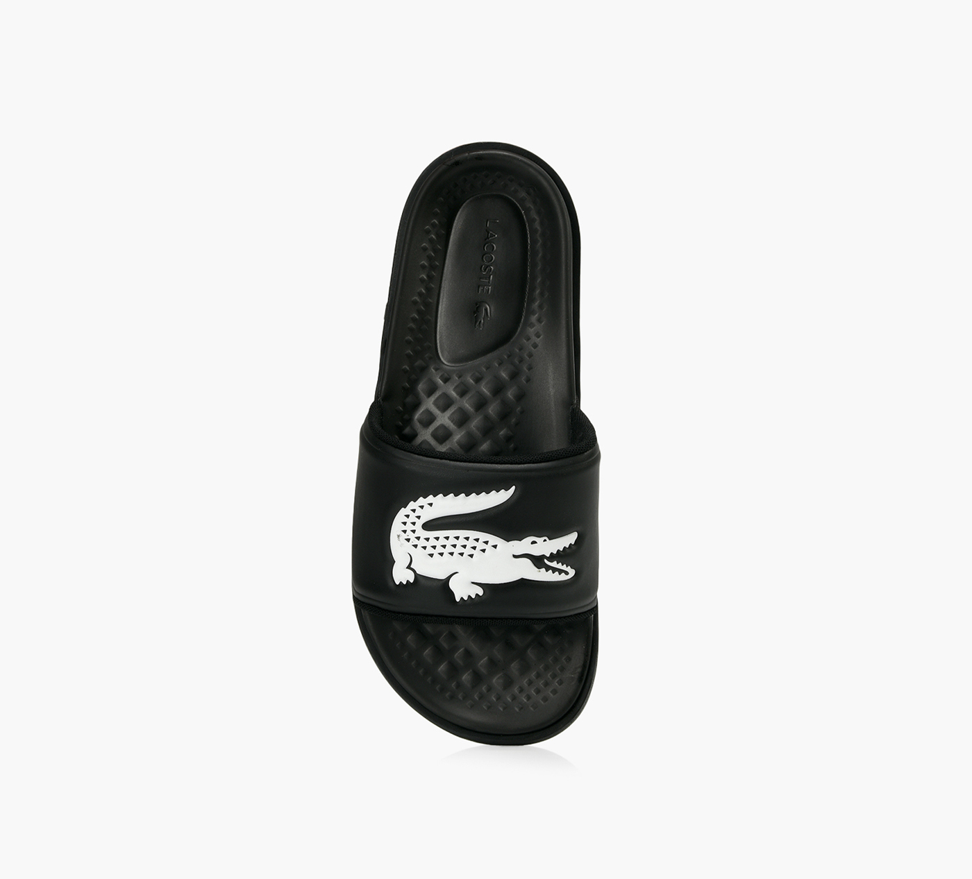 CROCO DUALISTE 2.0 SLIDES