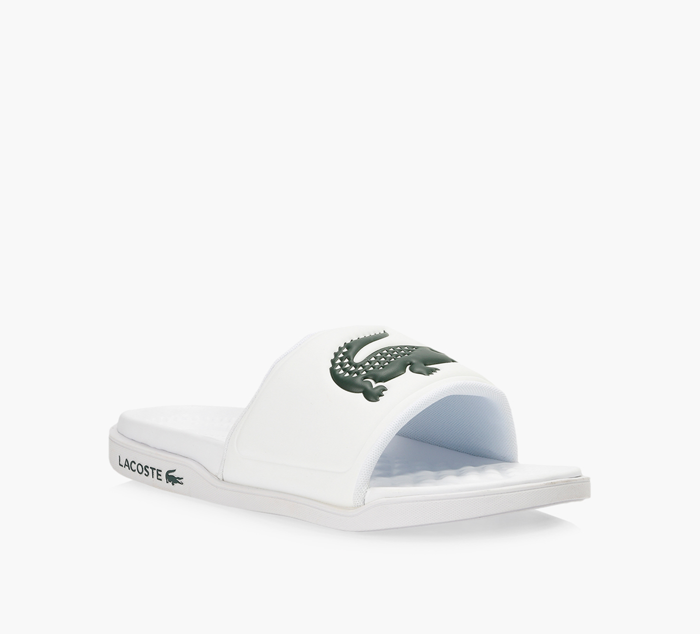 CROCO DUALISTE 2.0 SLIDES