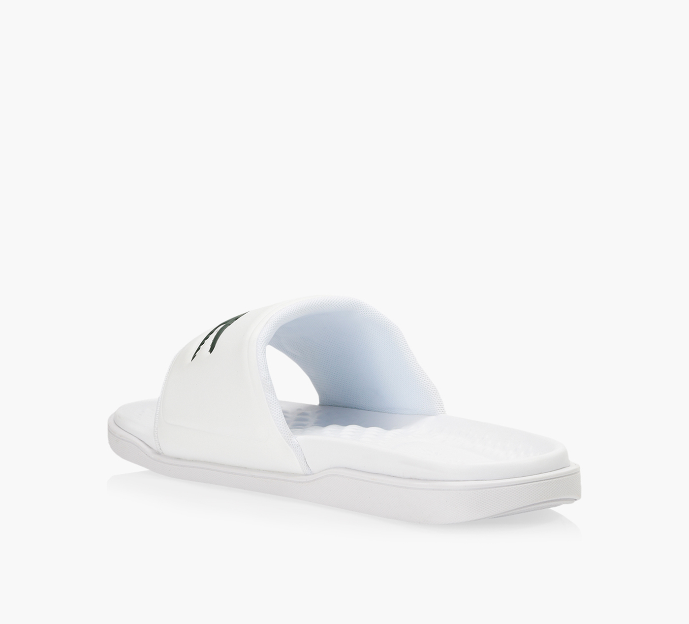 CROCO DUALISTE 2.0 SLIDES