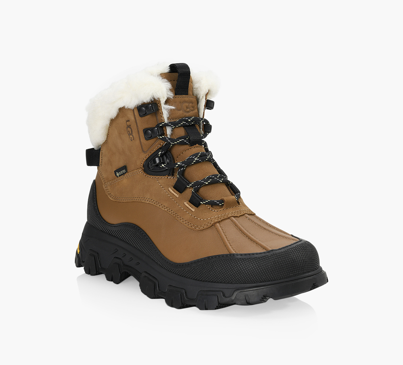 ADIRONDACK MERIDIAN HIKER