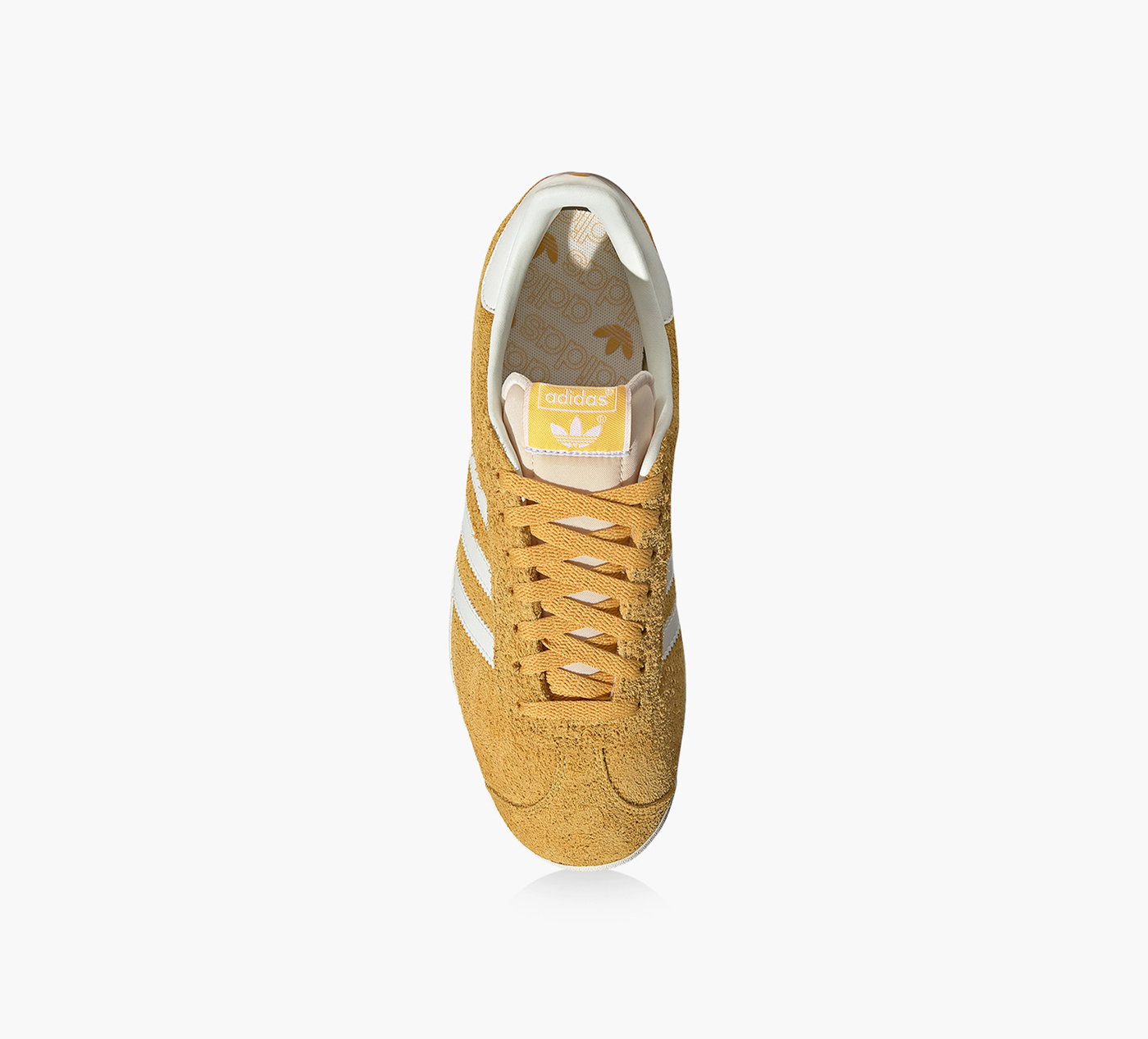 GAZELLE