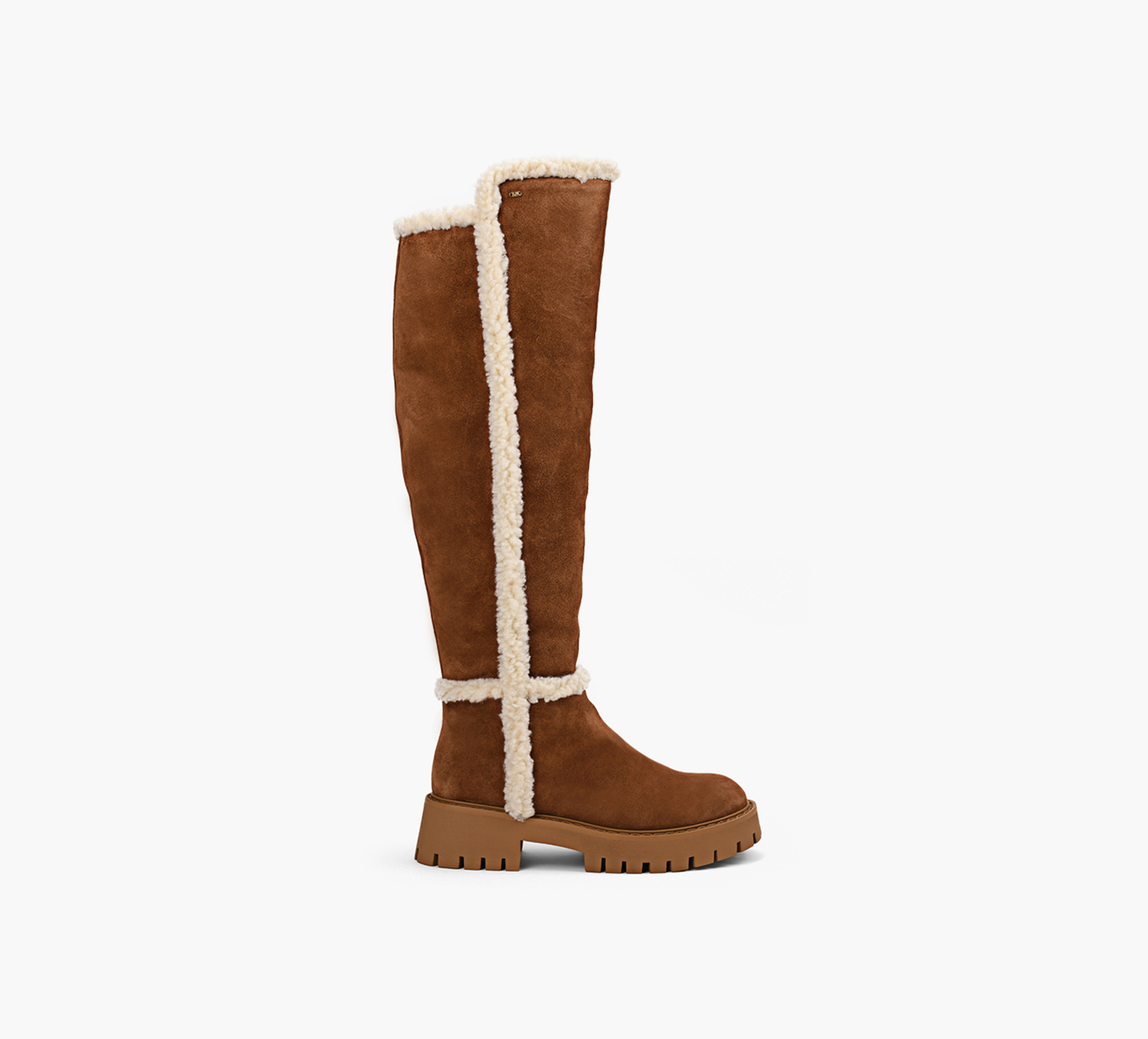 ASHER BOOT