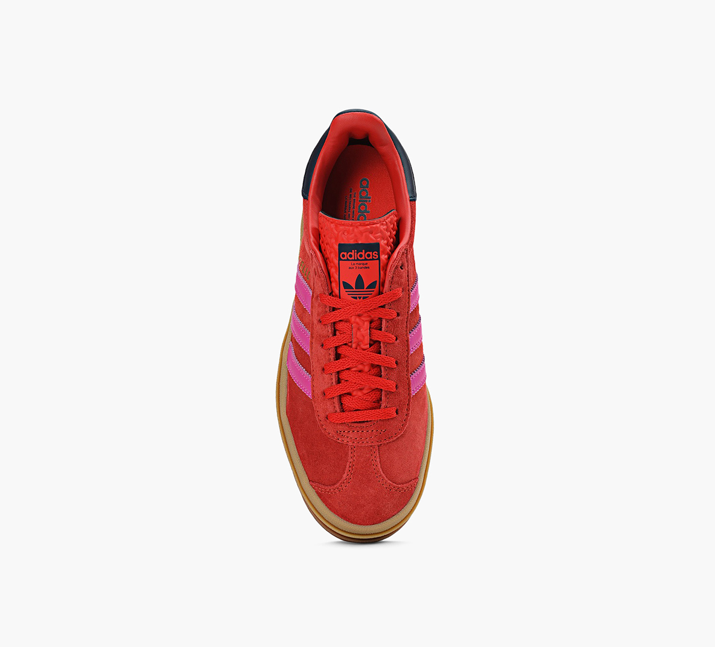 GAZELLE BOLD