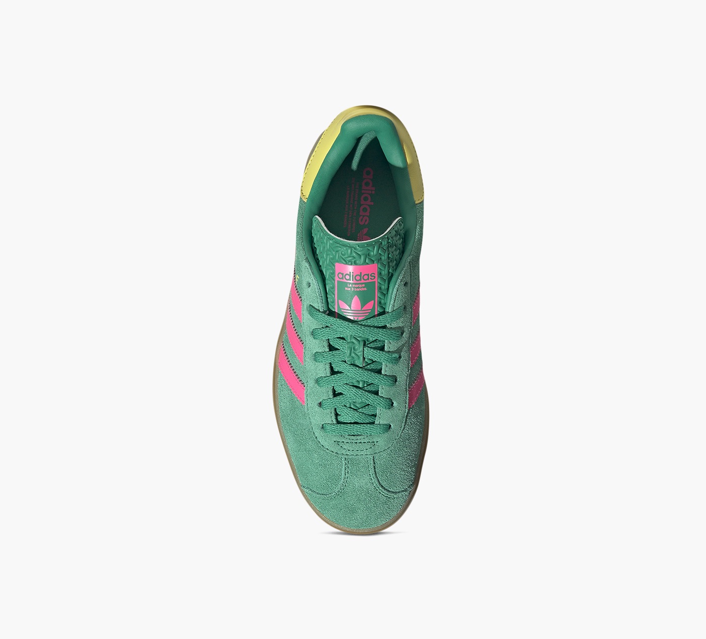 GAZELLE BOLD