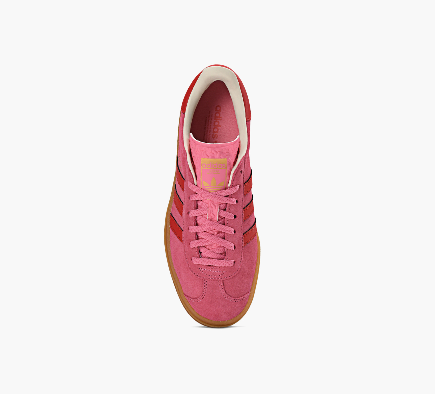 GAZELLE BOLD