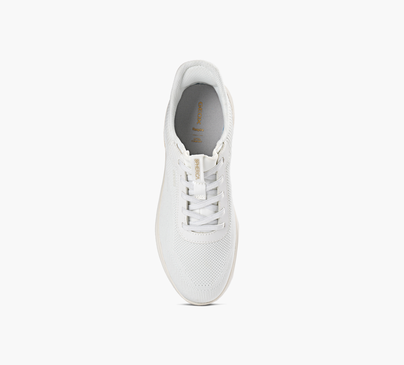 D SPHERICA PLUS