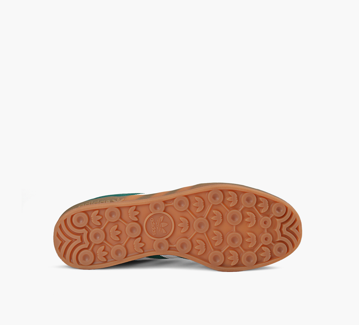 GAZELLE INDOOR