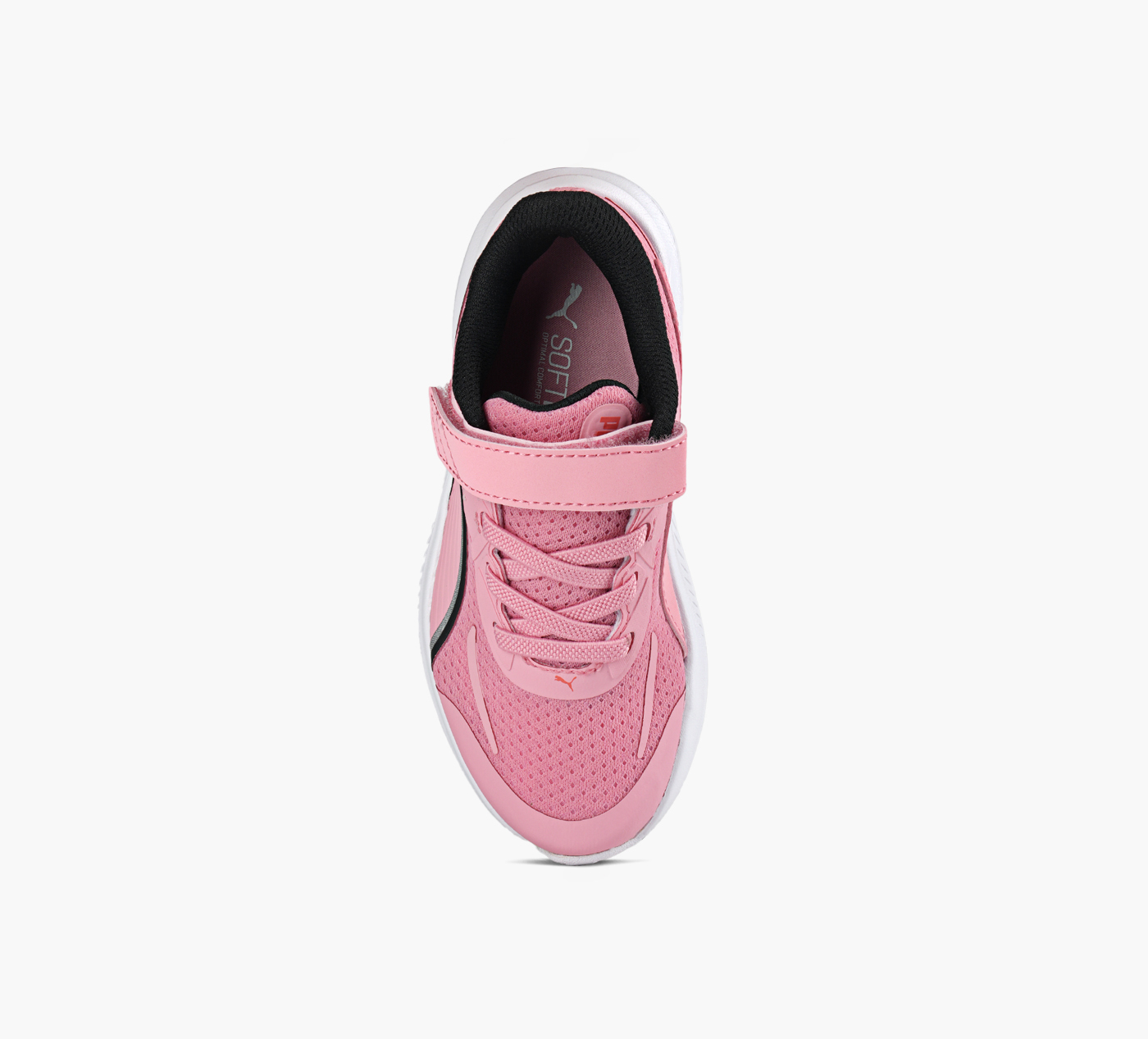 SKYROCKET LITE