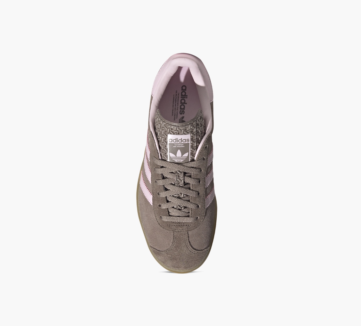 GAZELLE BOLD