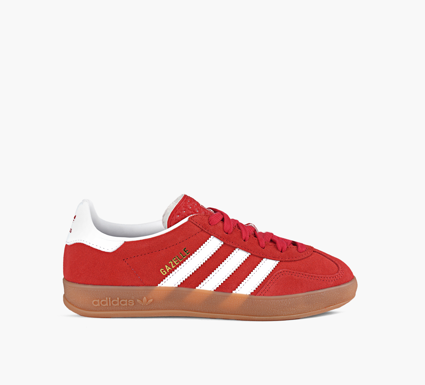 GAZELLE INDOOR