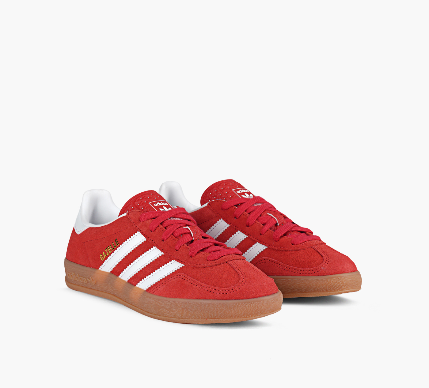 GAZELLE INDOOR