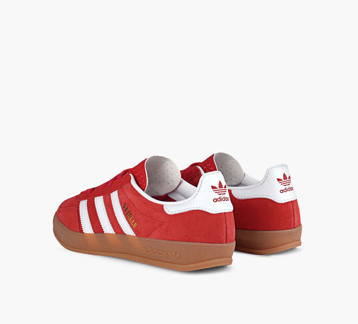 GAZELLE INDOOR