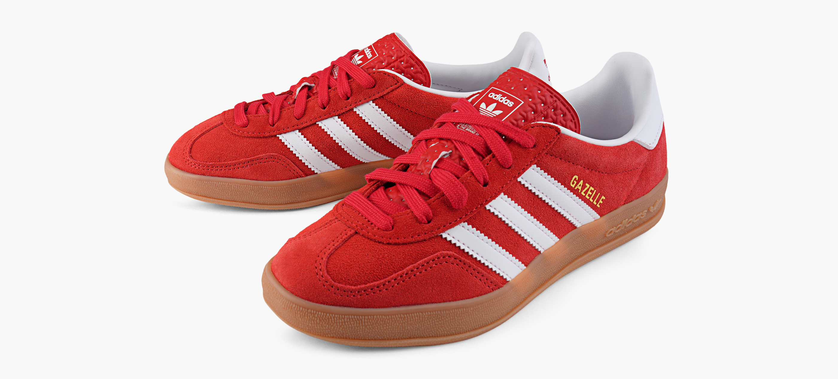 GAZELLE INDOOR