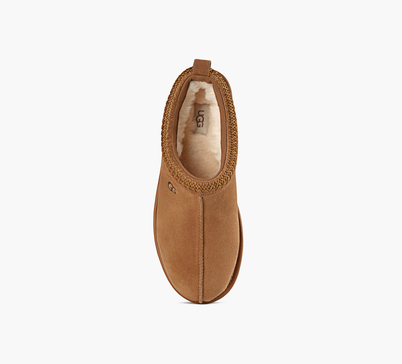 TASMAN GTX