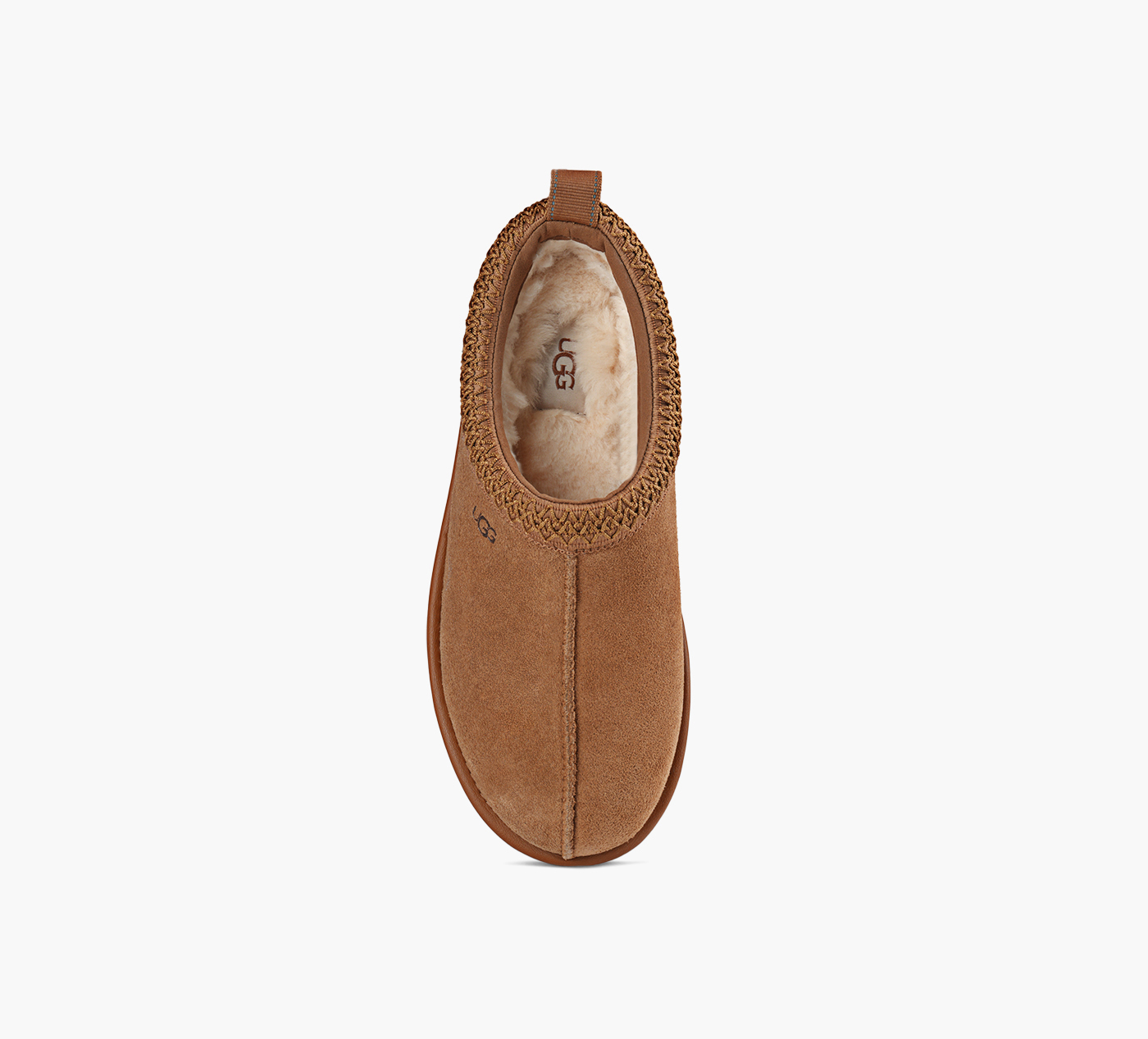 TASMAN GTX