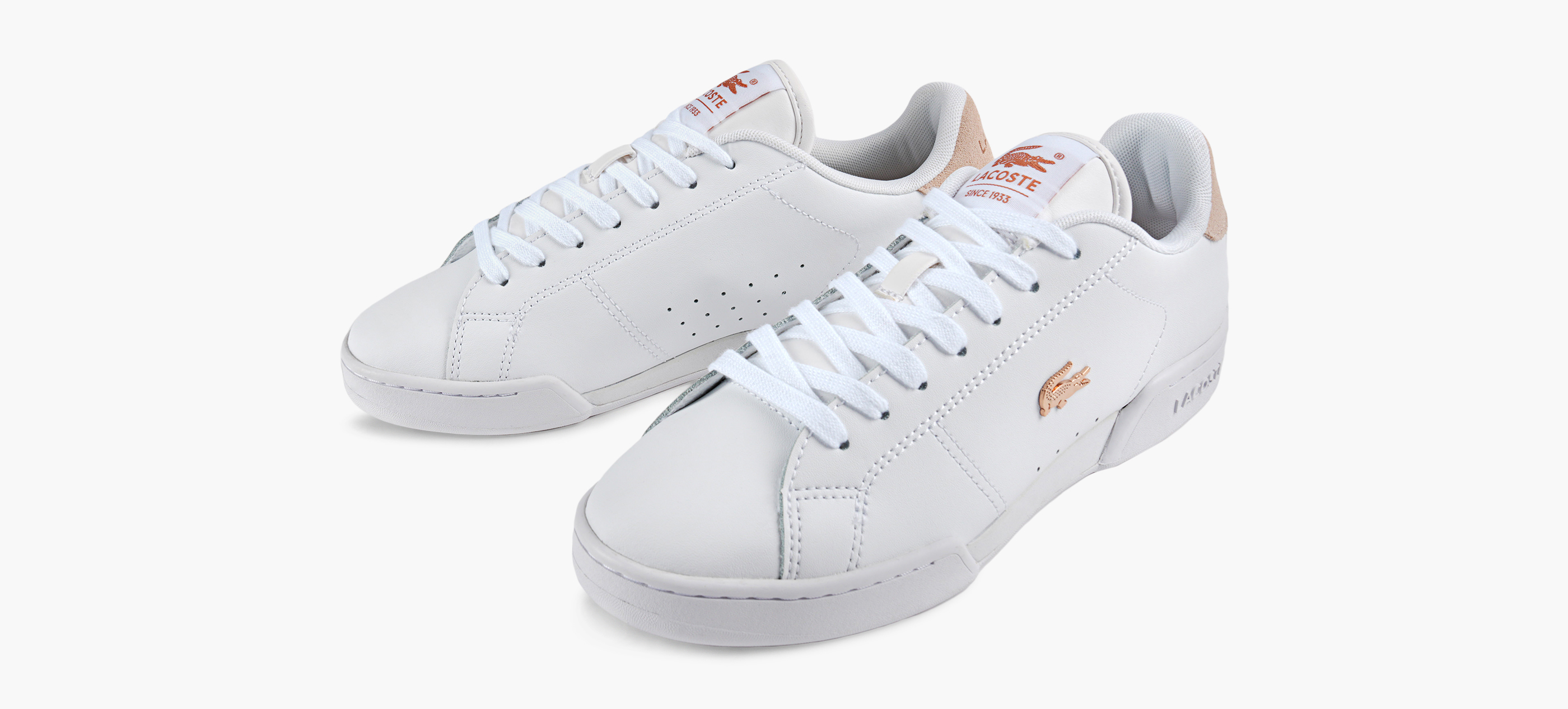 CARNABY CUP BLUSH PACK