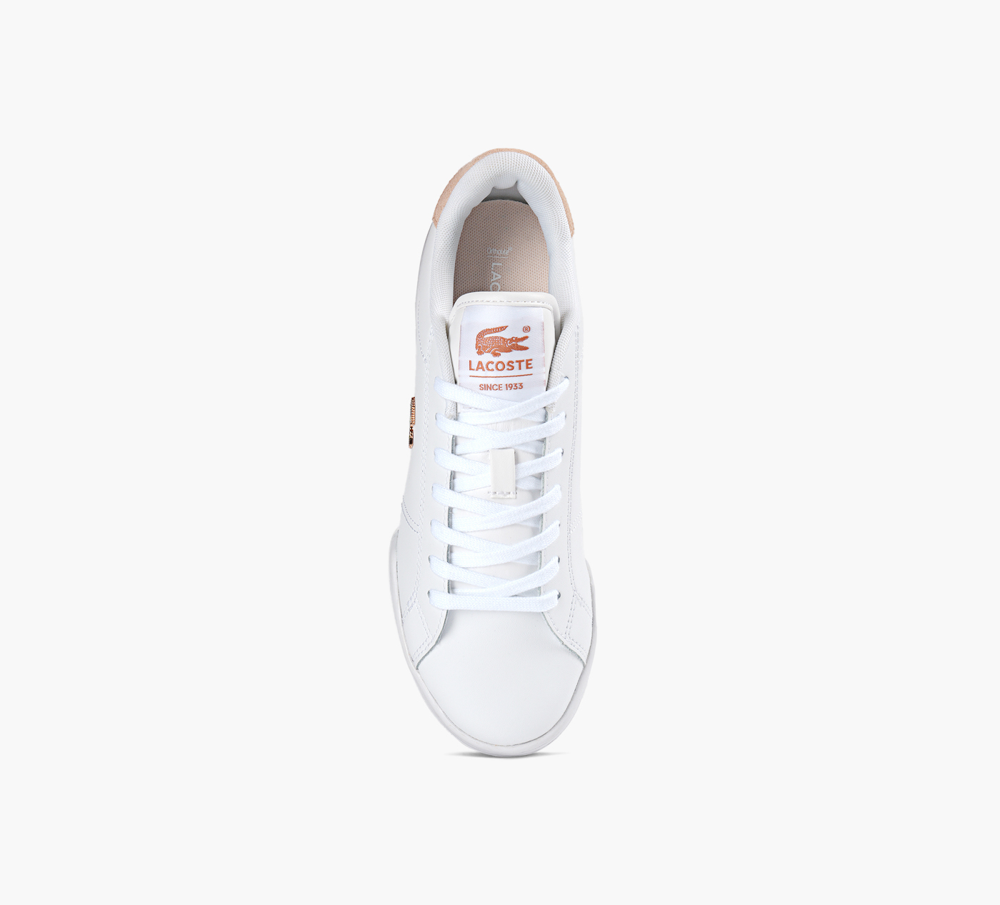 CARNABY CUP BLUSH PACK