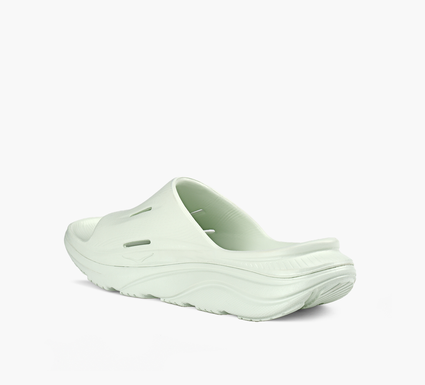 ORA RECOVERY SLIDE 3