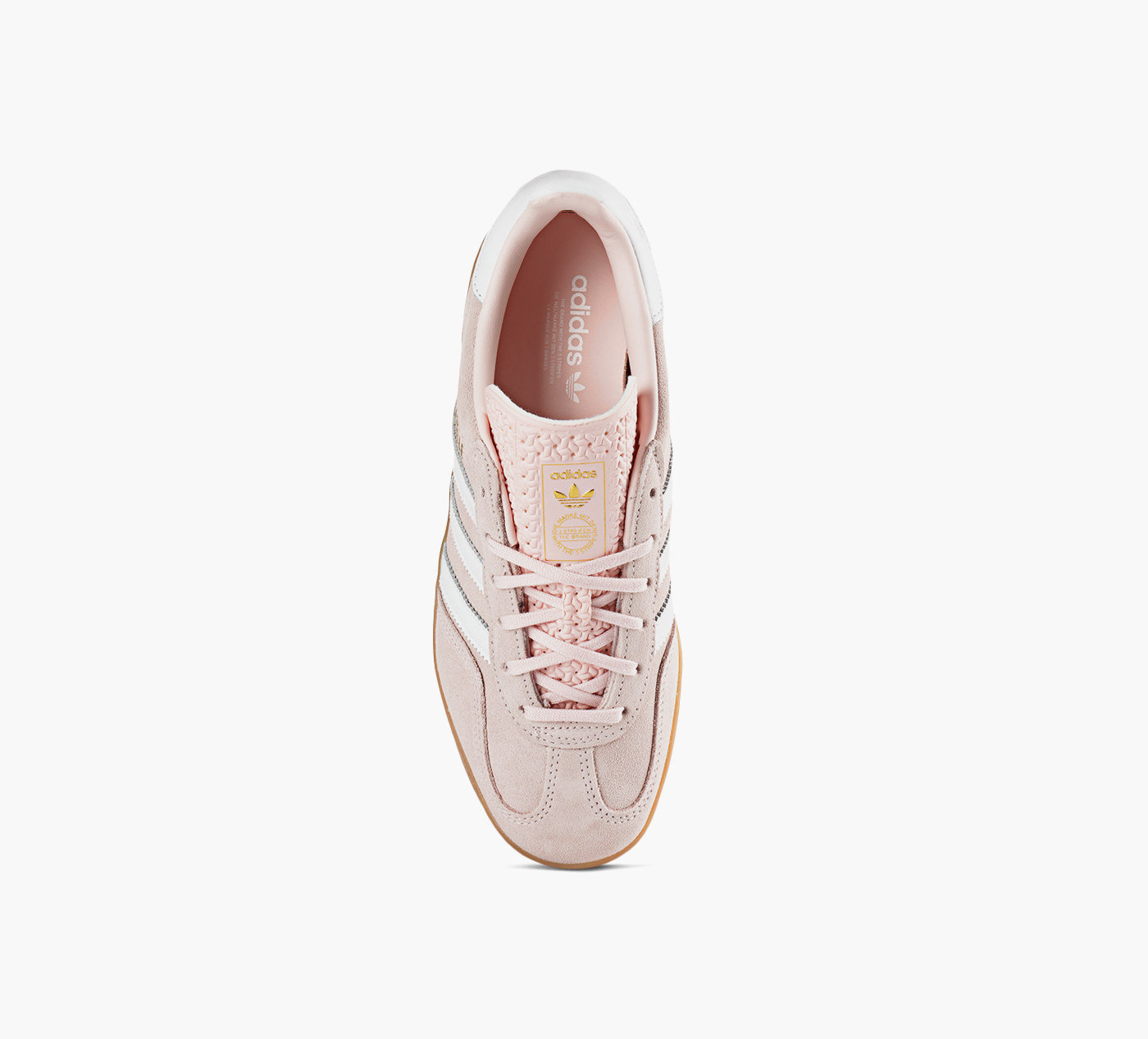 GAZELLE INDOOR