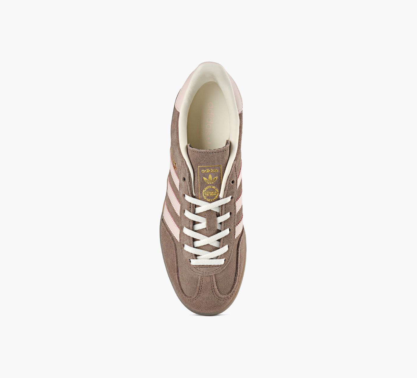 GAZELLE INDOOR