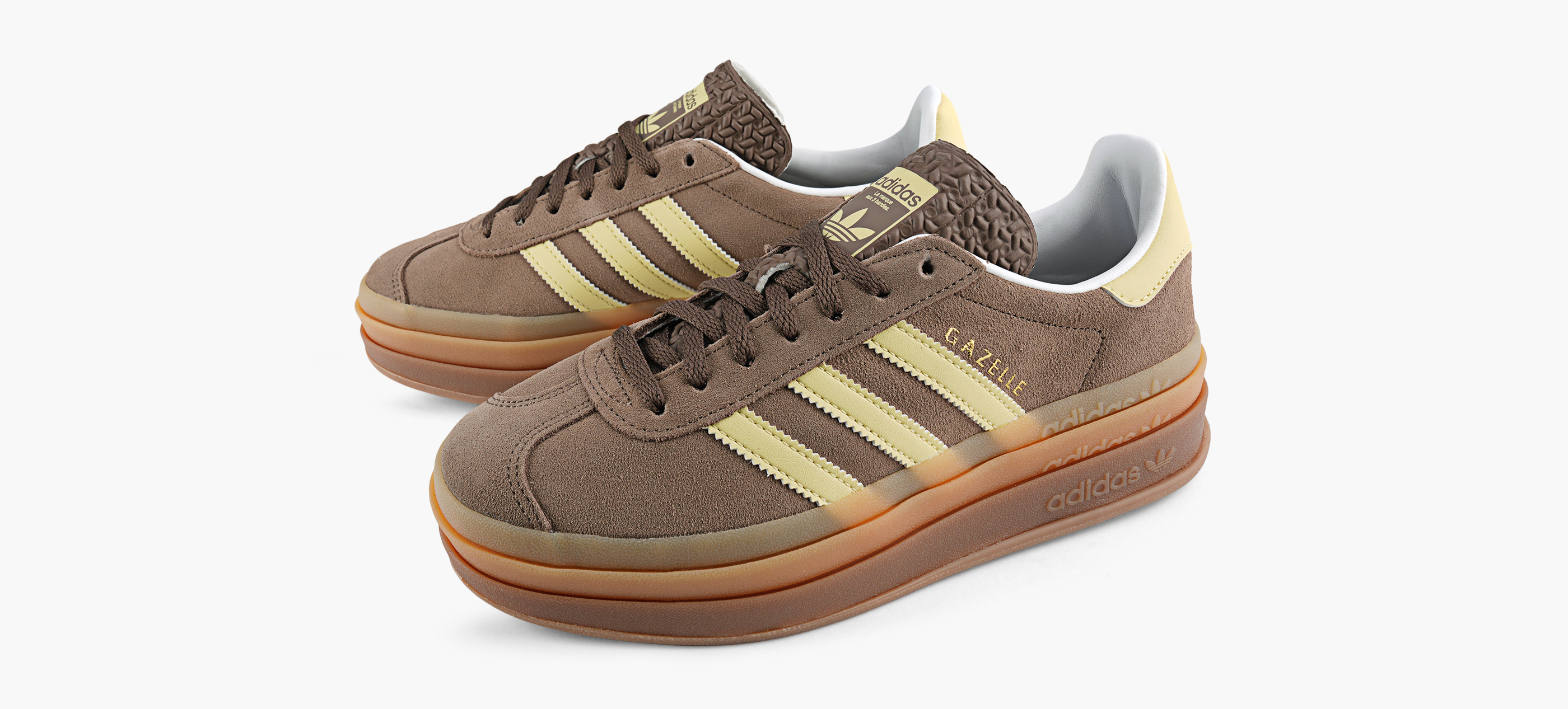 GAZELLE BOLD
