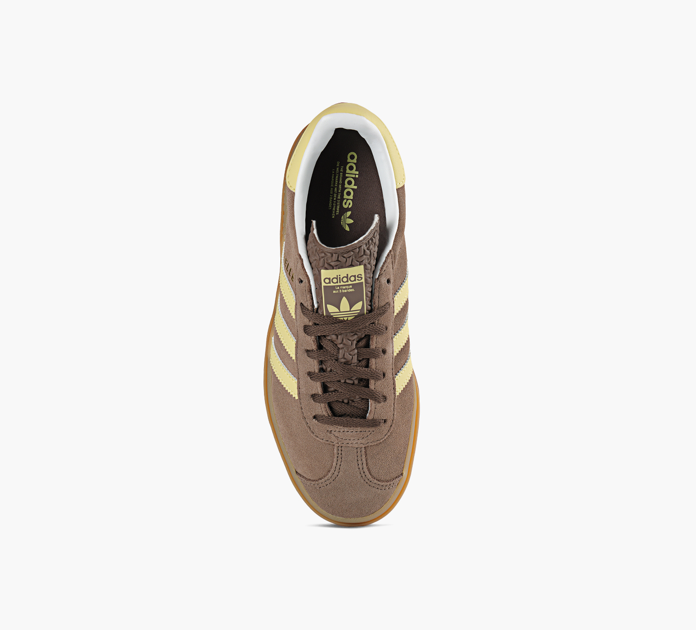 GAZELLE BOLD