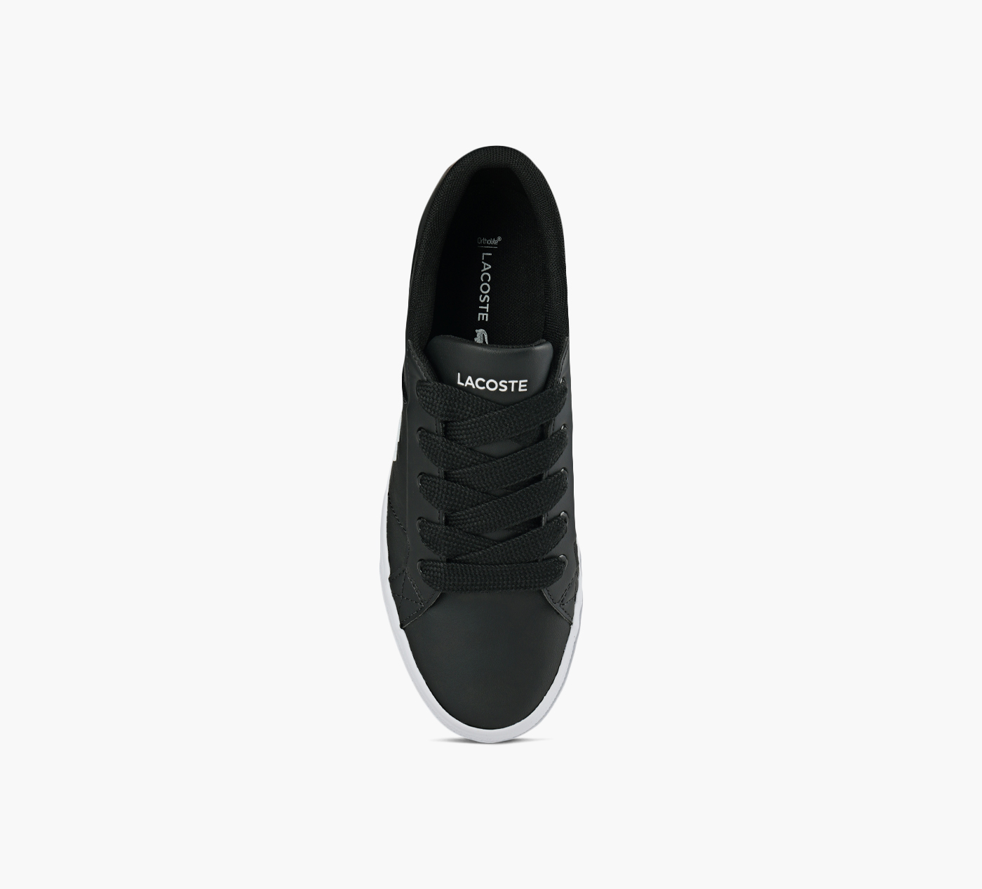 ZIANE PLATFORM