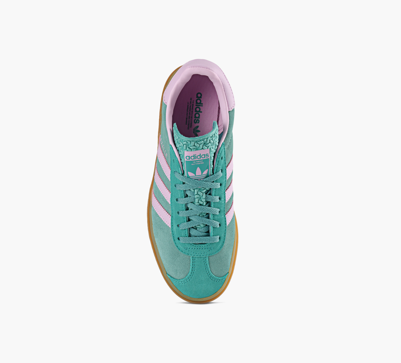 GAZELLE BOLD