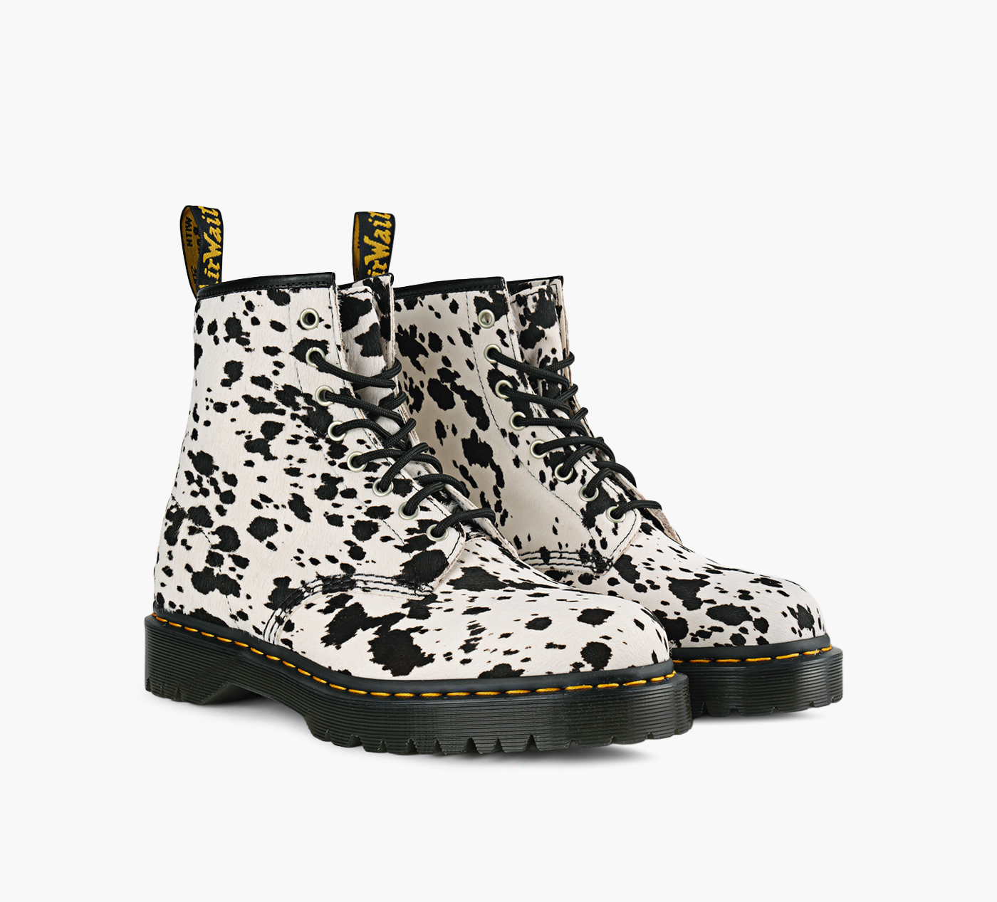 BOTTE 1460 BEX DALMATION