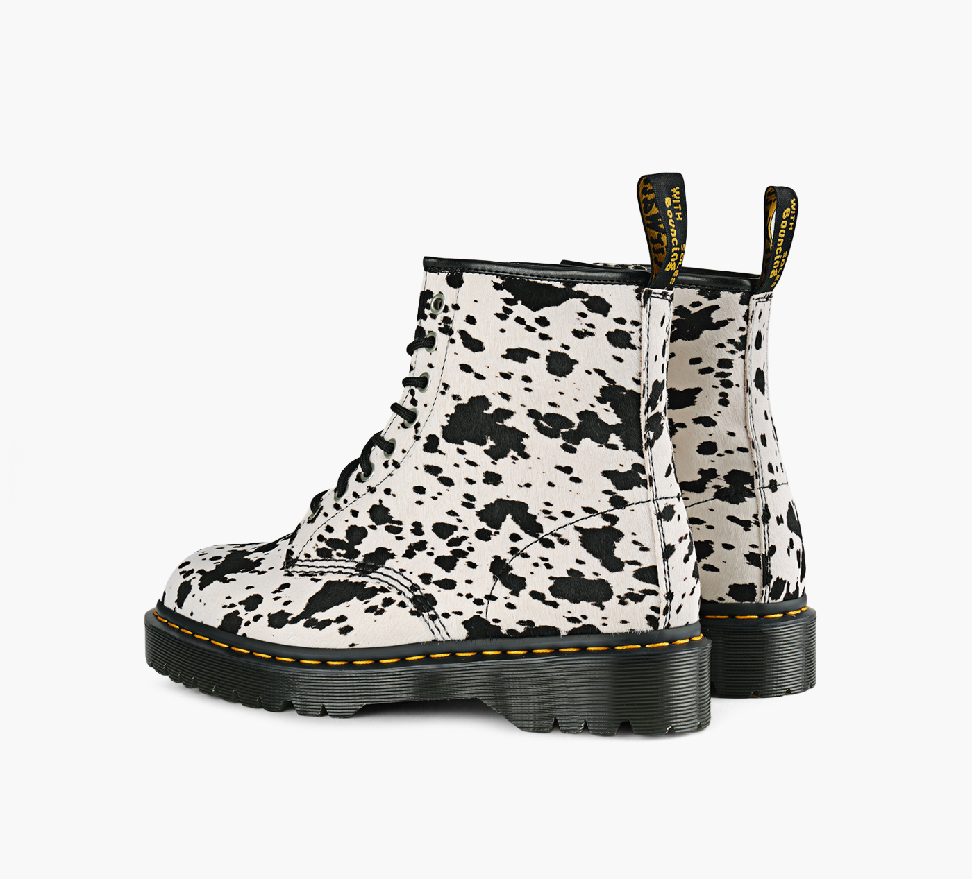 BOTTE 1460 BEX DALMATION
