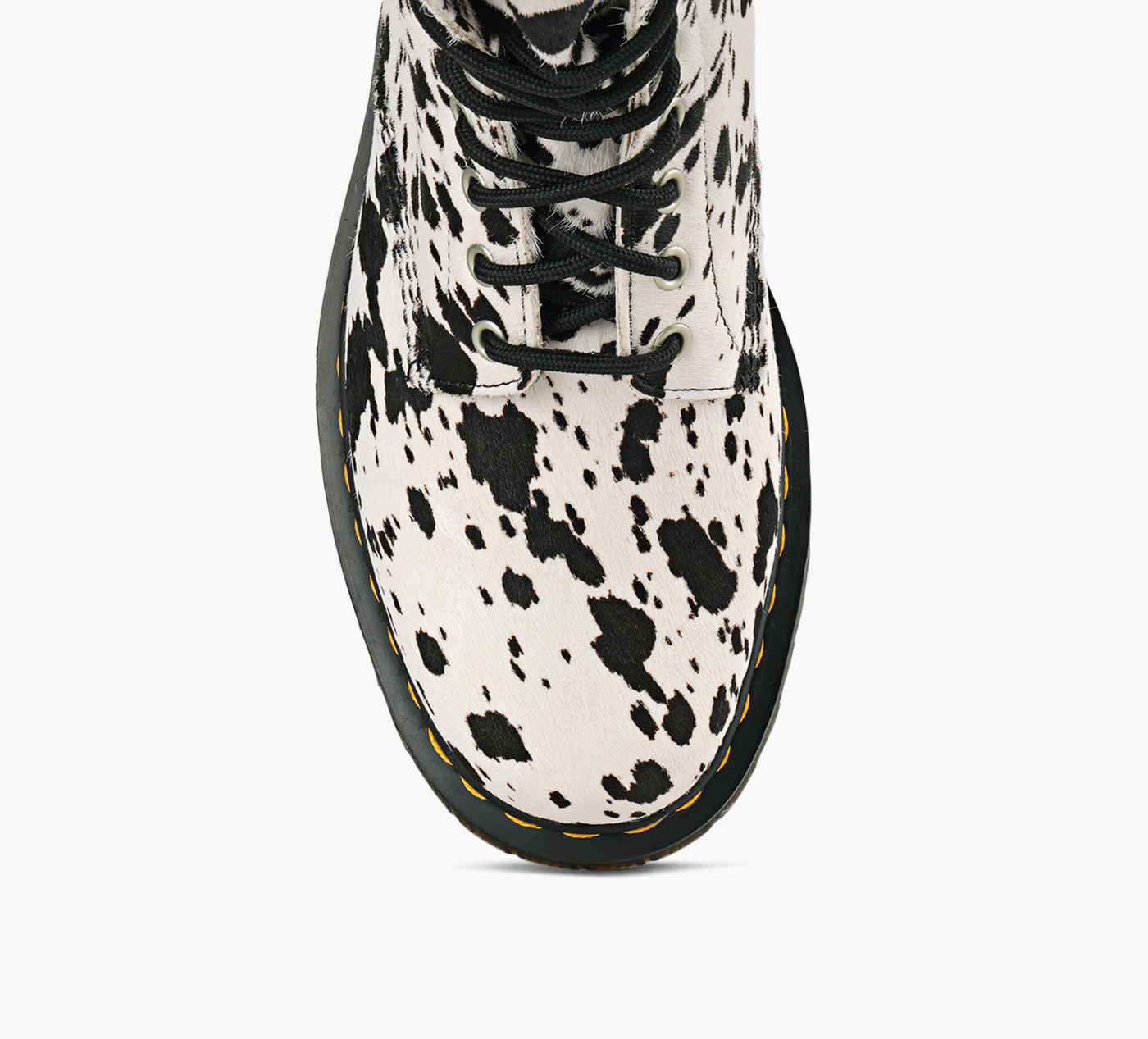 BOTTE 1460 BEX DALMATION