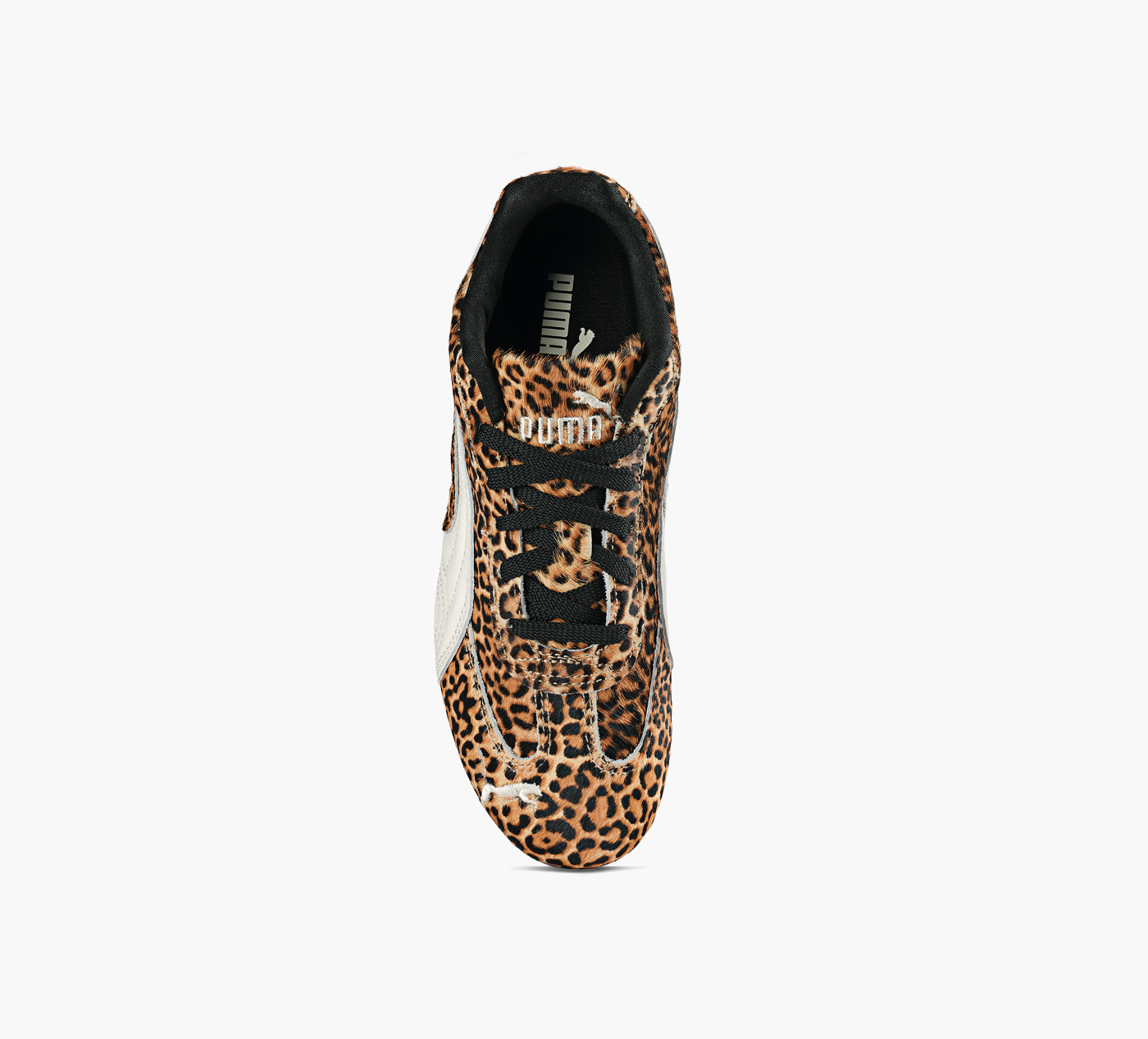 SPEEDCAT LEOPARD